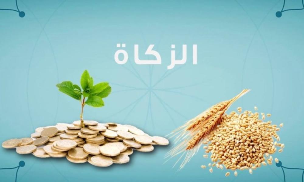 زكاة الفطرة لشهر رمضان 1445هـ